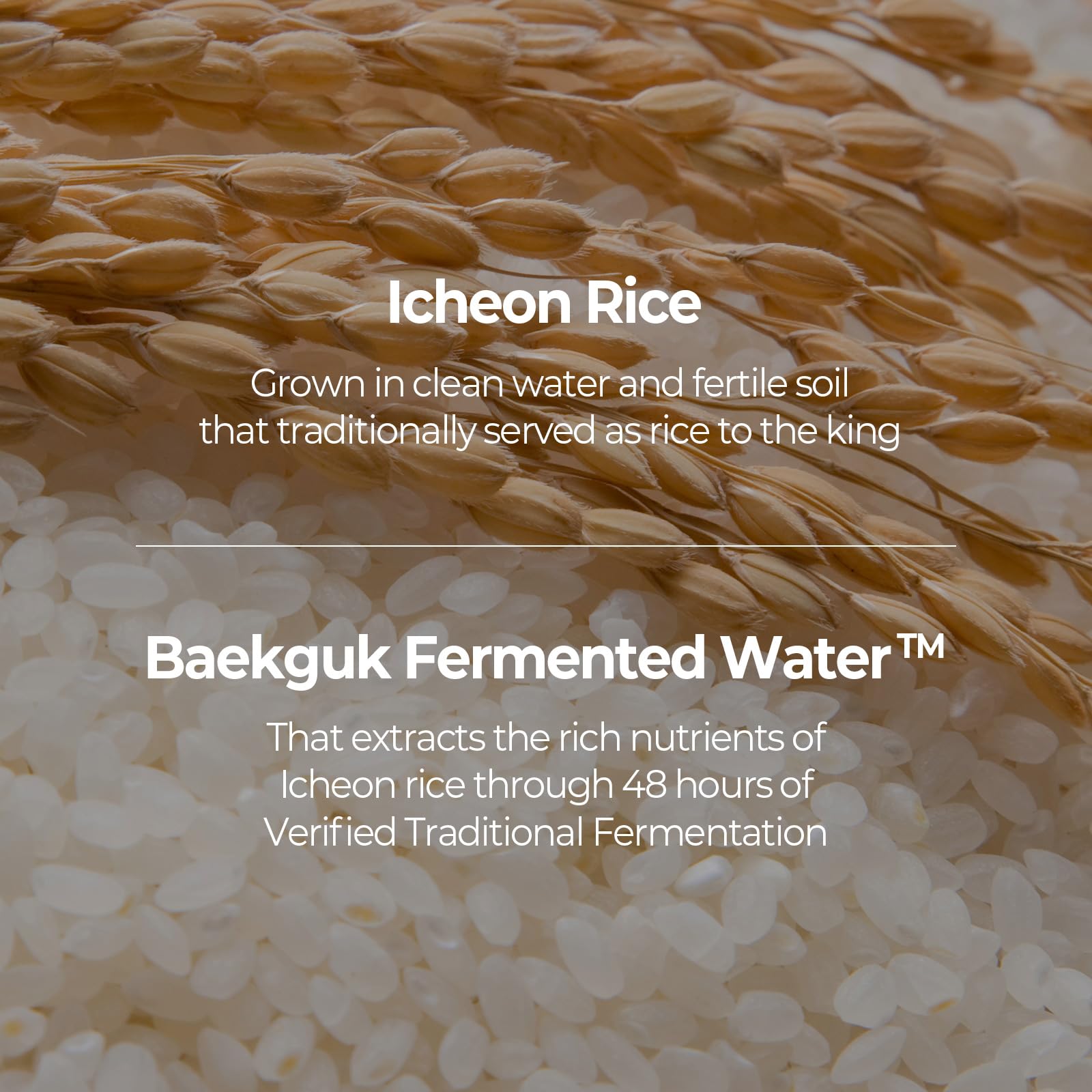 SKINFOOD Rice Daily Serum, Korean Skincare Facial Essence for Glow Glass Skin, Fermented Natural Rice Water Milk for Face, Pore Minimizing, Deep Hydrating, Dark Spot Correcting, 55ml/1.86fl.oz.